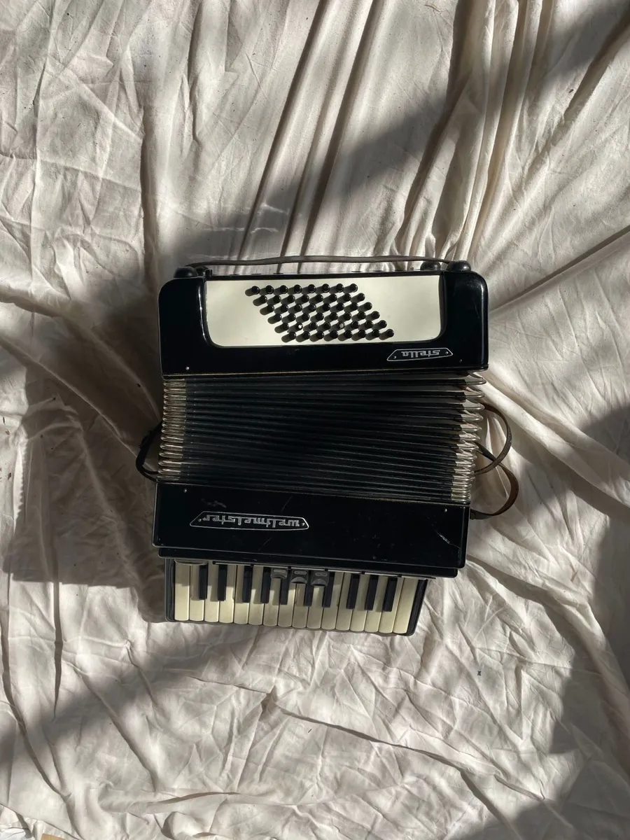 Accordion - Image 3