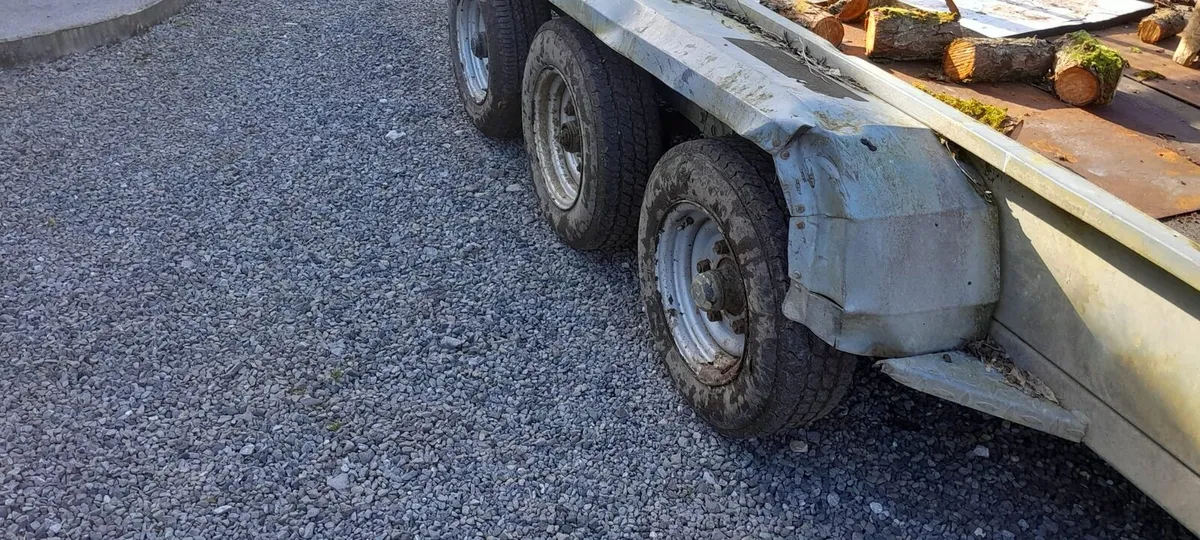 Nugent 3 Axle Plant Trailer 14x8 - Image 3