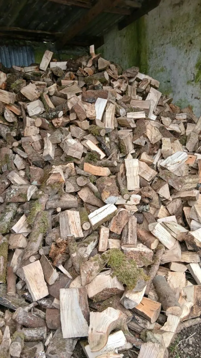 Firewood - Image 1
