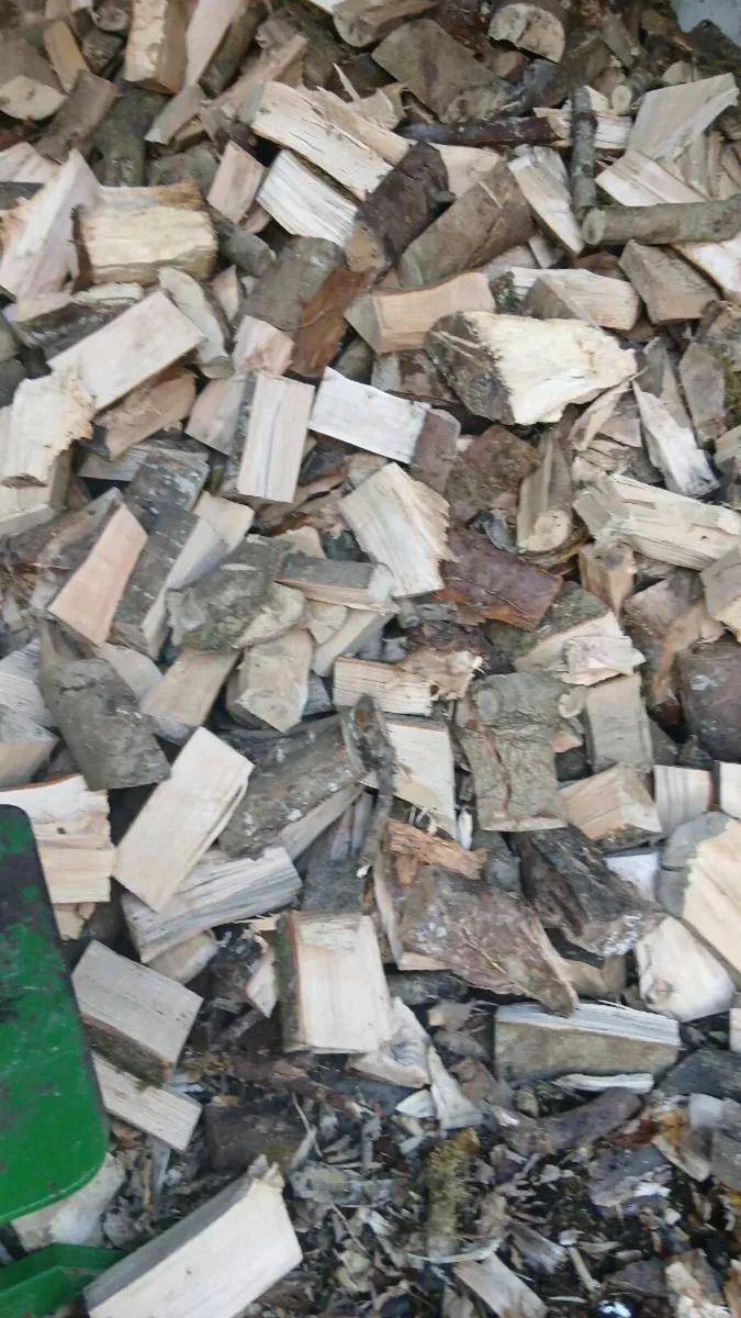 Firewood - Image 3