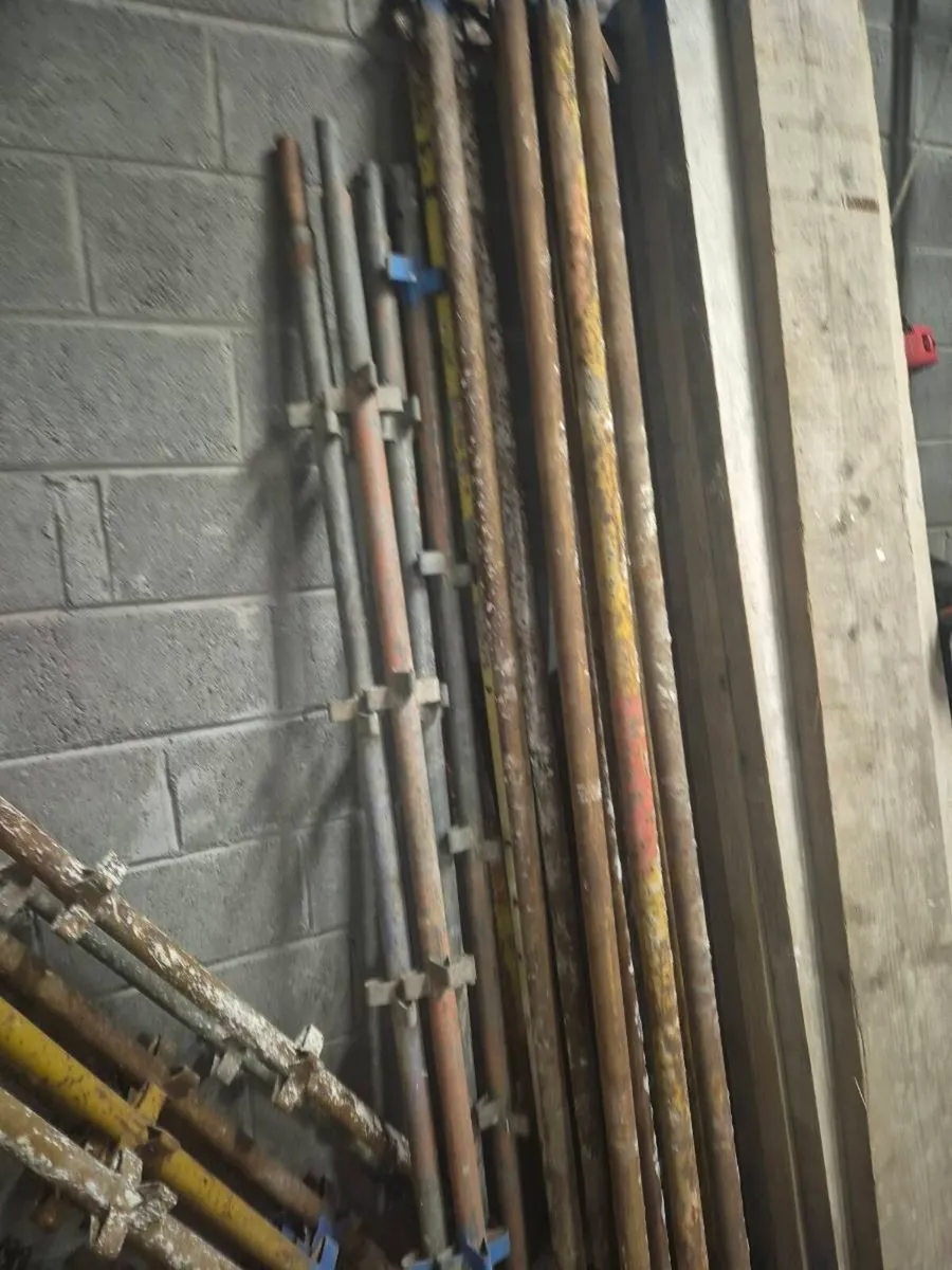 Scaffold - Image 3