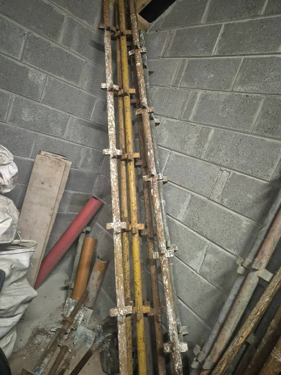 Scaffold - Image 4
