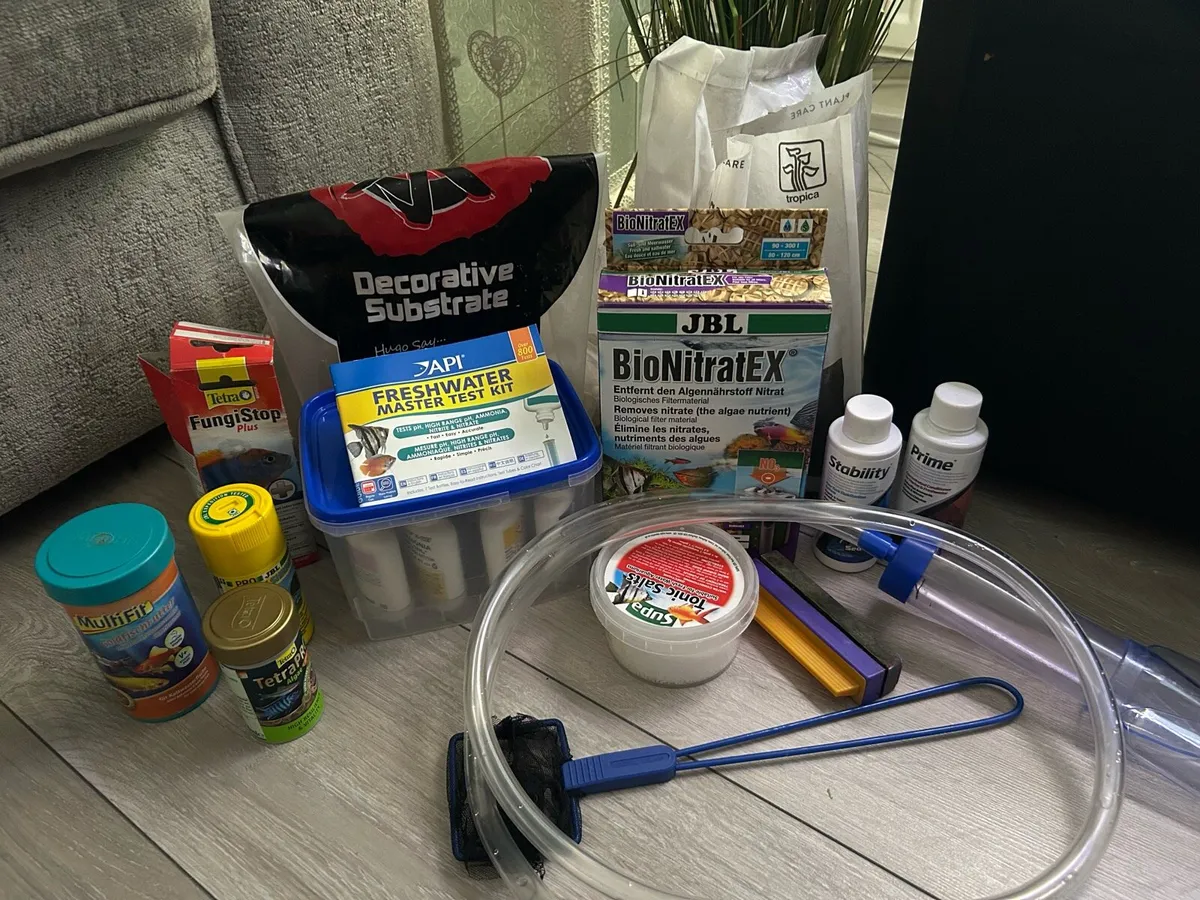 Tropical Fish Tank - Image 4