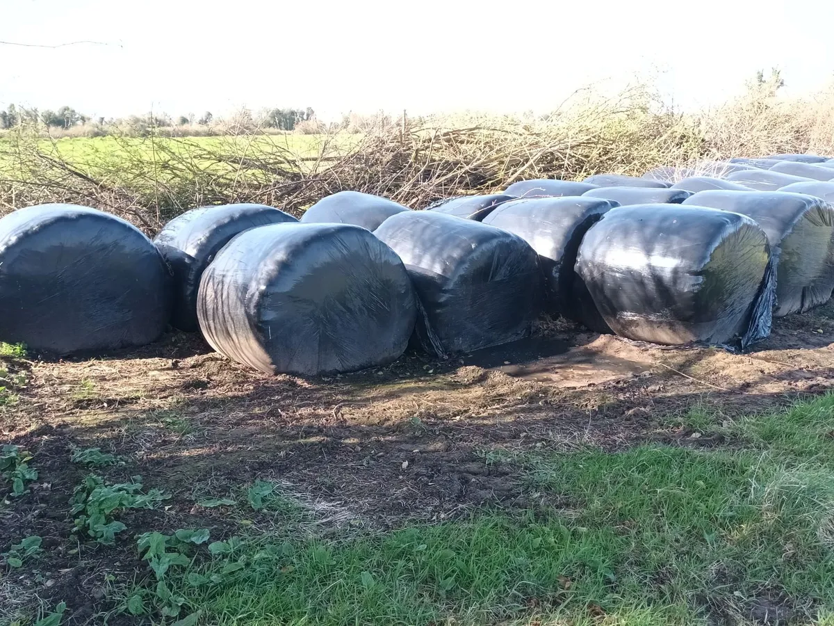 Bales of Silage - Image 3