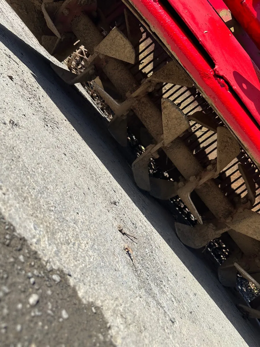 Stone burier - Image 3