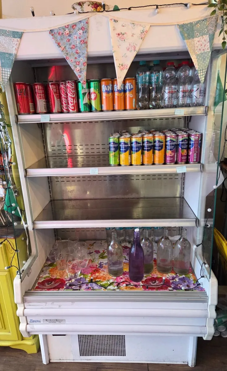 Commercial display fridge - Image 1