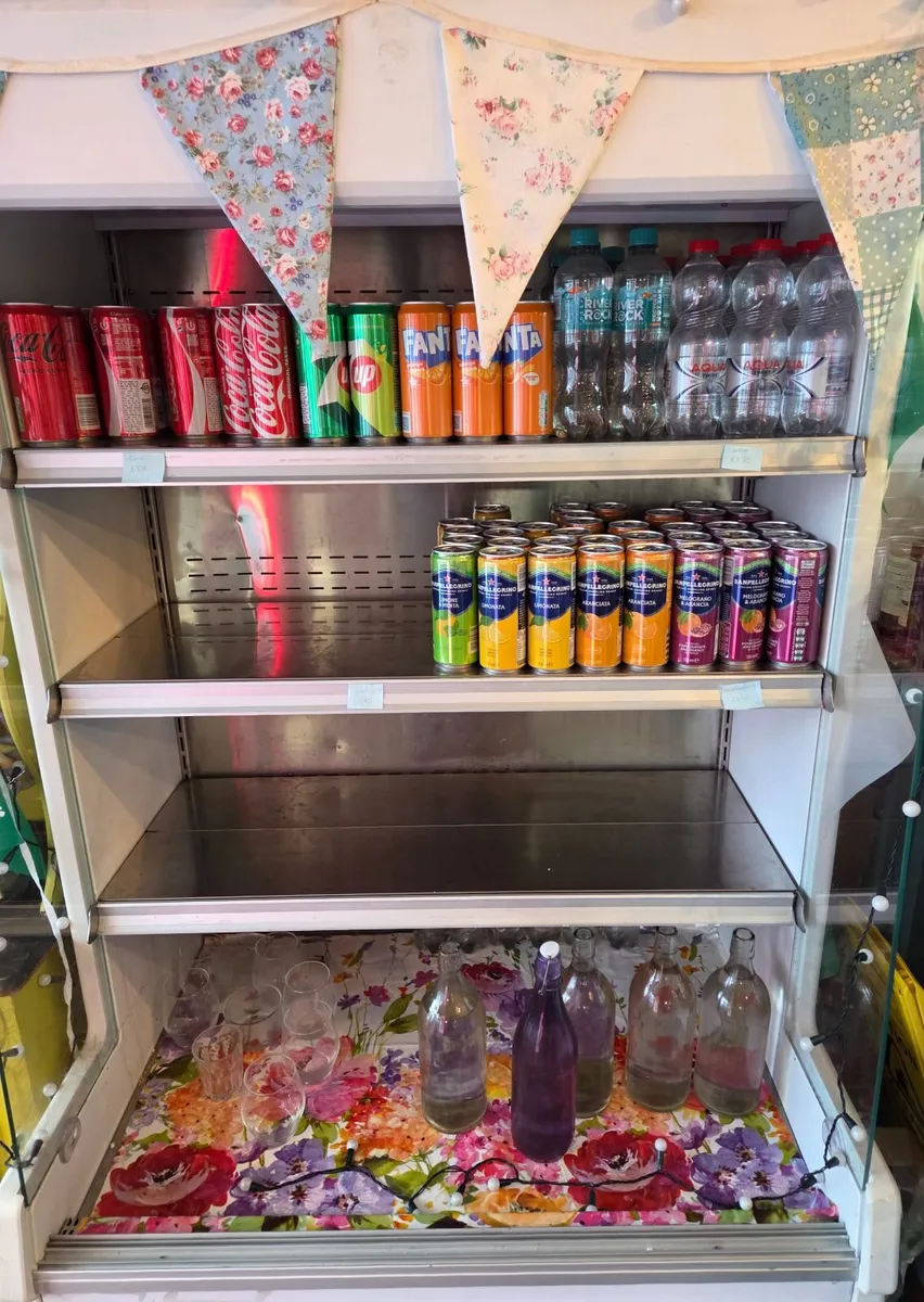 Commercial display fridge - Image 2