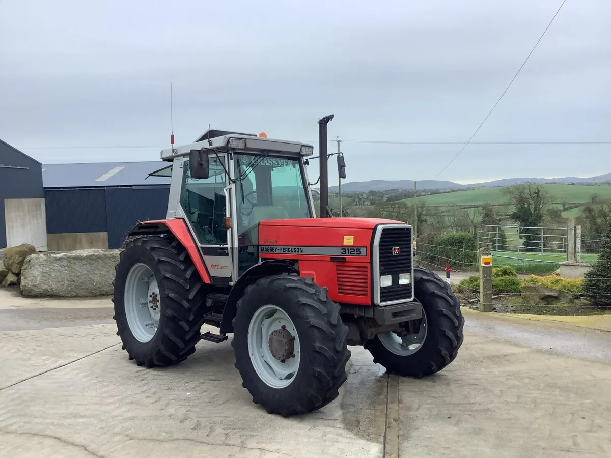 1995 MF 3125 Dynashift - Image 1