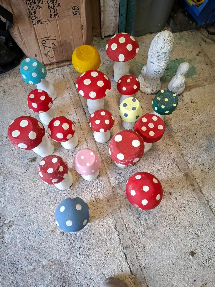 Selection of Garden Mushrooms etc. - Image 1