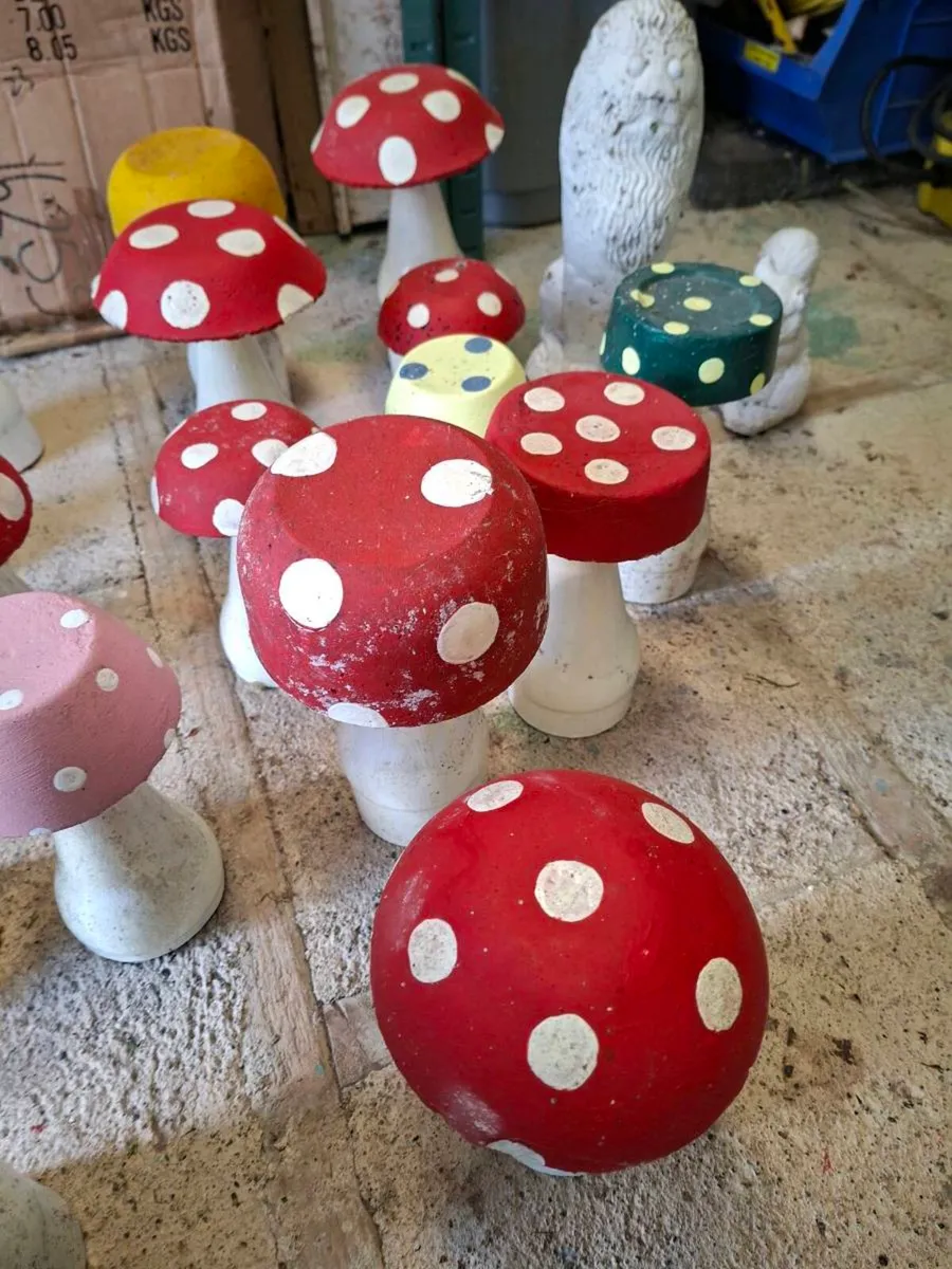 Selection of Garden Mushrooms etc. - Image 2