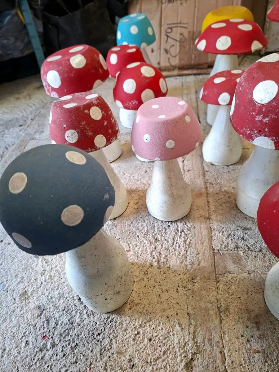 Selection of Garden Mushrooms etc. - Image 3