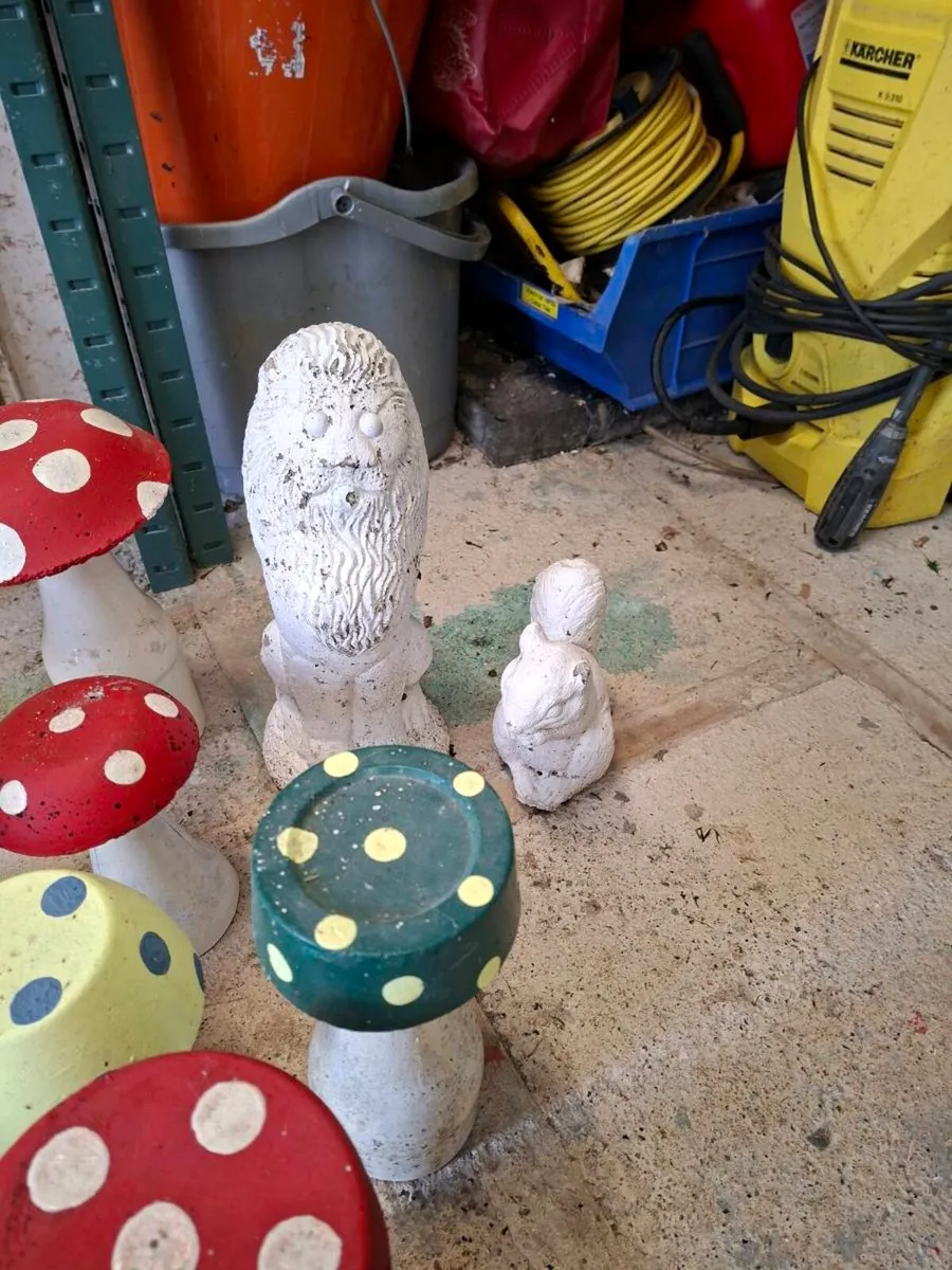 Selection of Garden Mushrooms etc. - Image 4