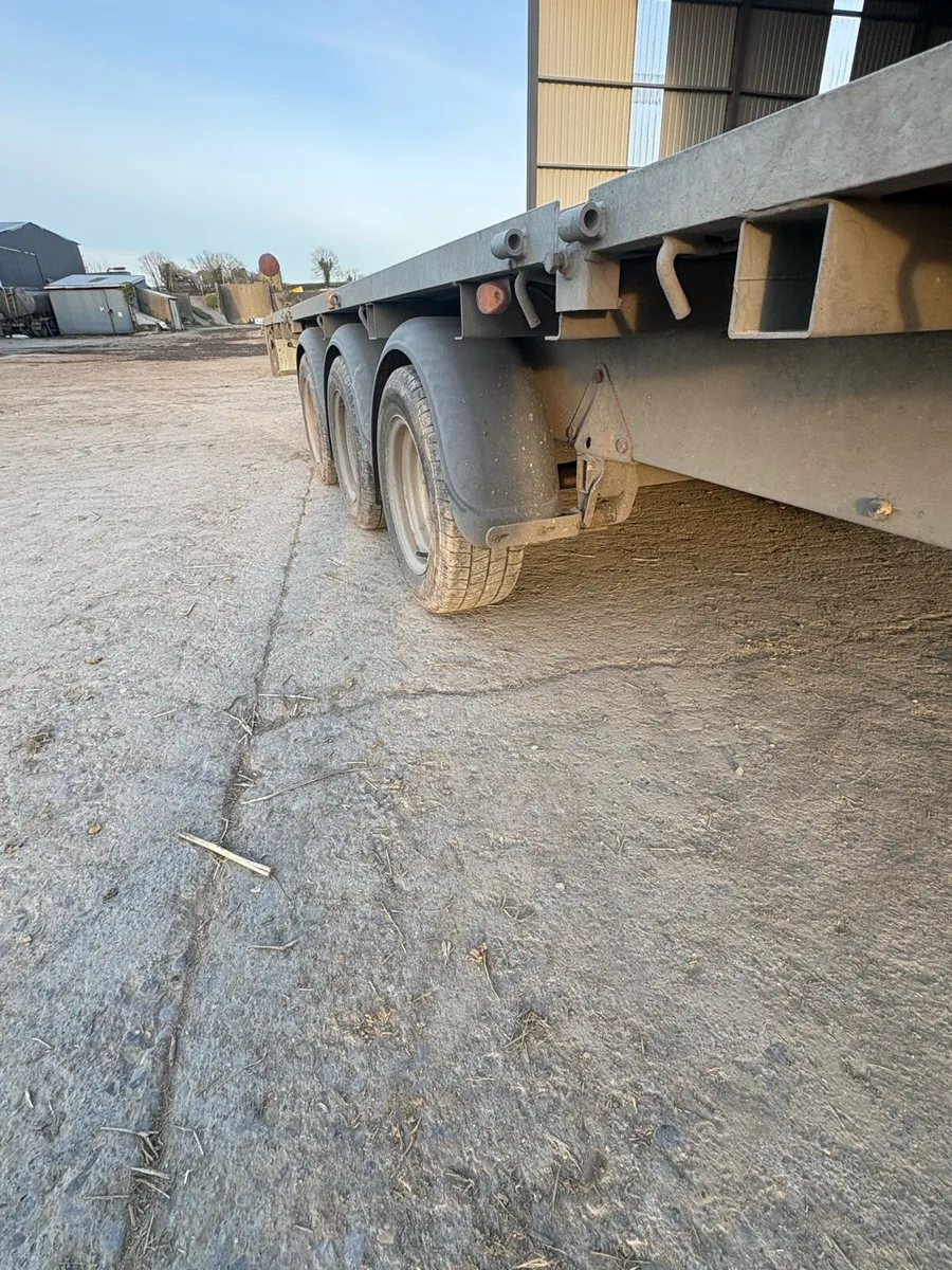 Ifor Williams Trailer LM186 Tri-axle - Image 3