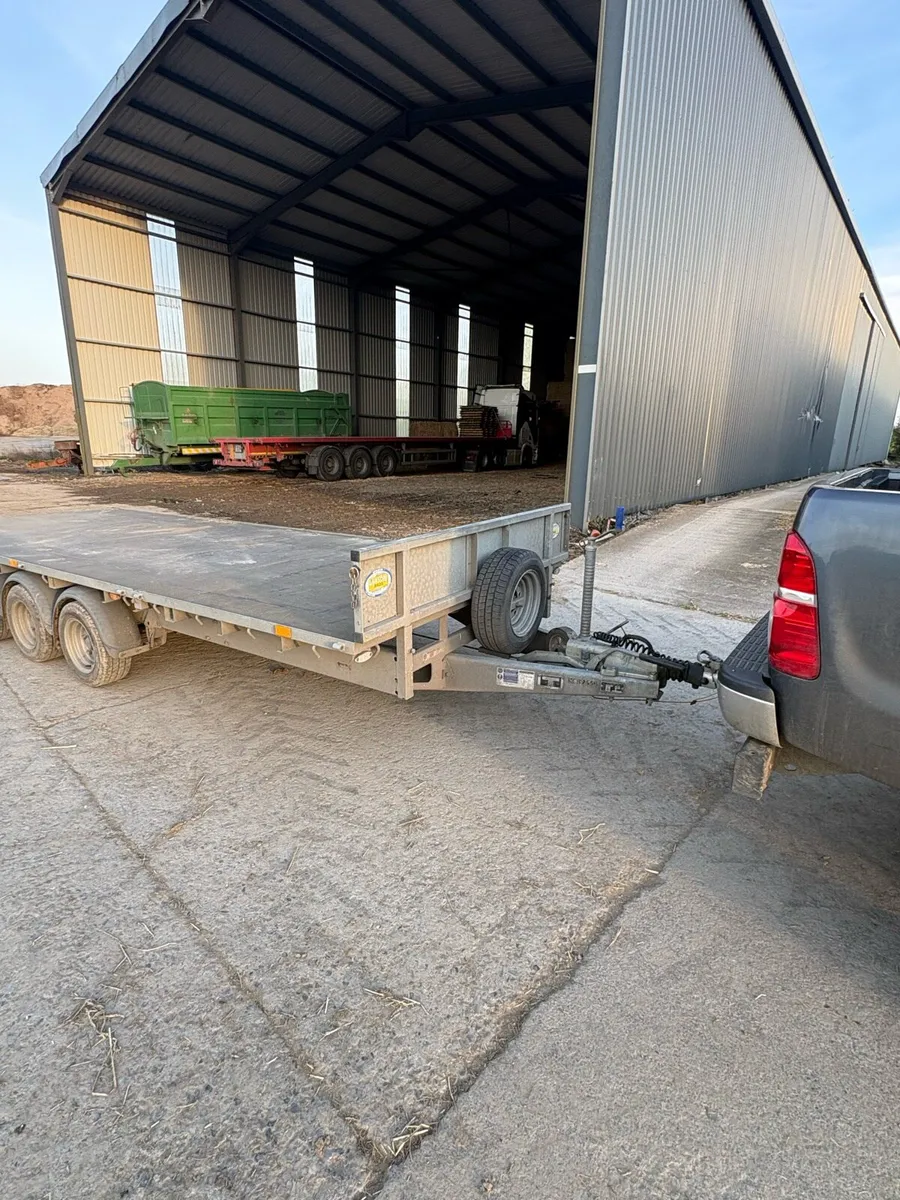 Ifor Williams Trailer LM186 Tri-axle - Image 2