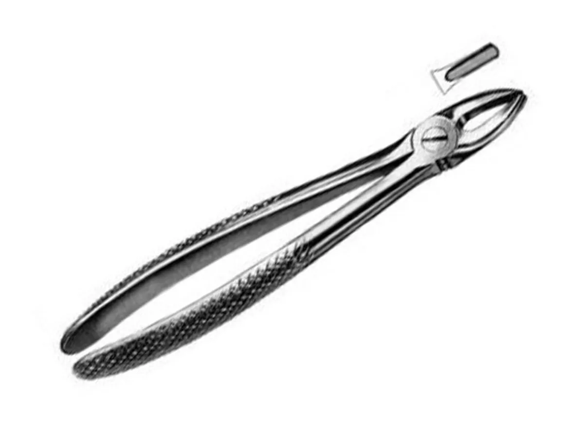 Dental Extraction Forceps - Image 3