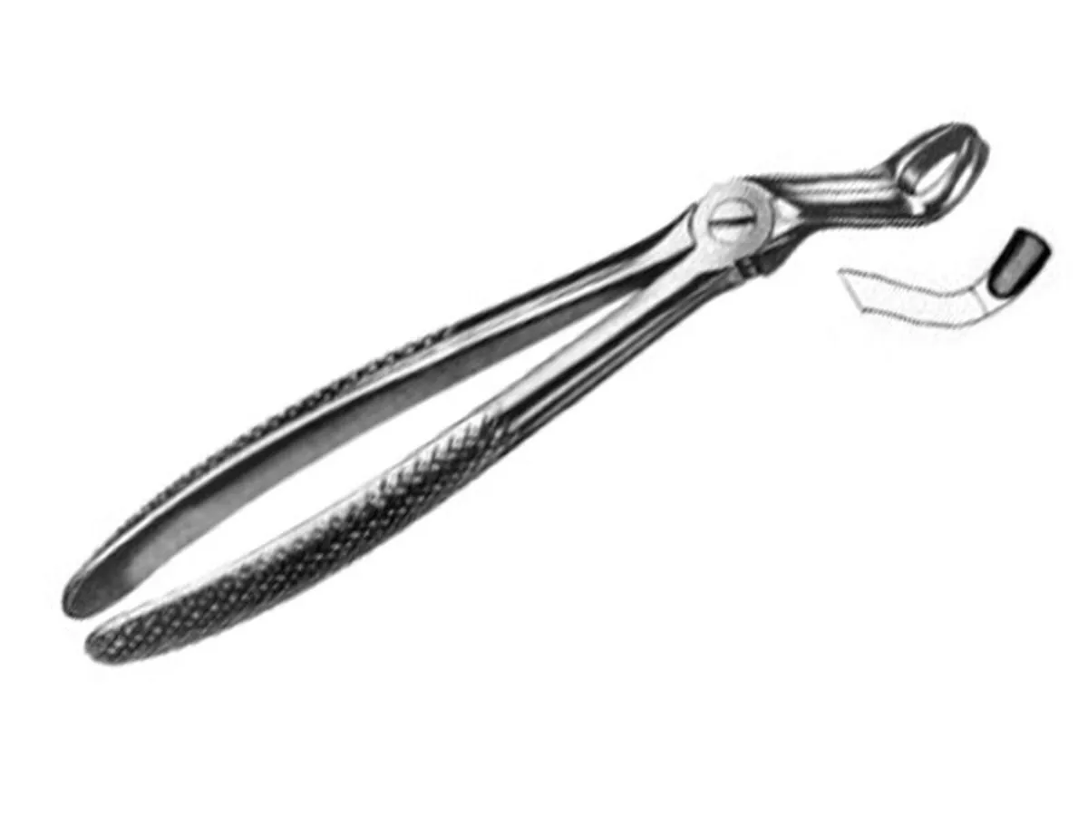 Dental Extraction Forceps - Image 4