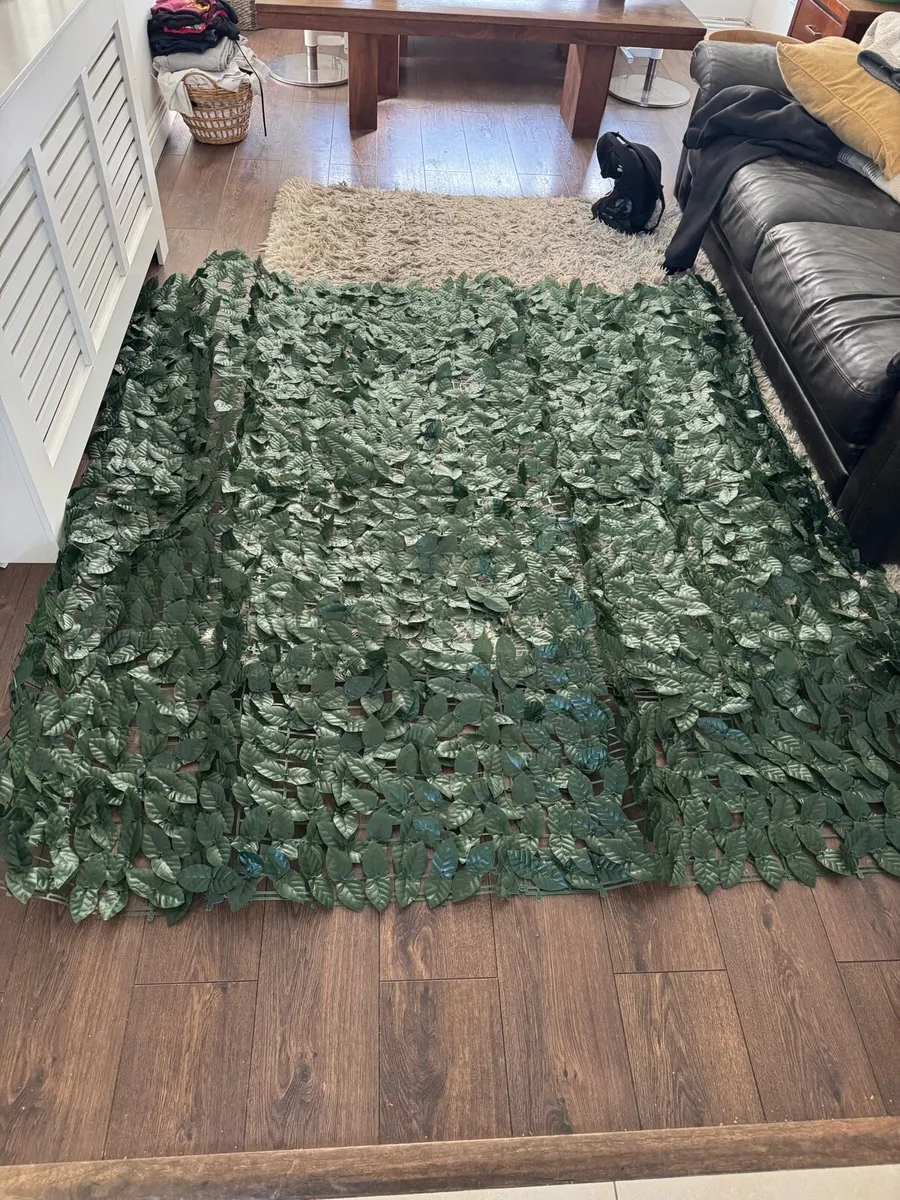 Garden trellis - Image 1