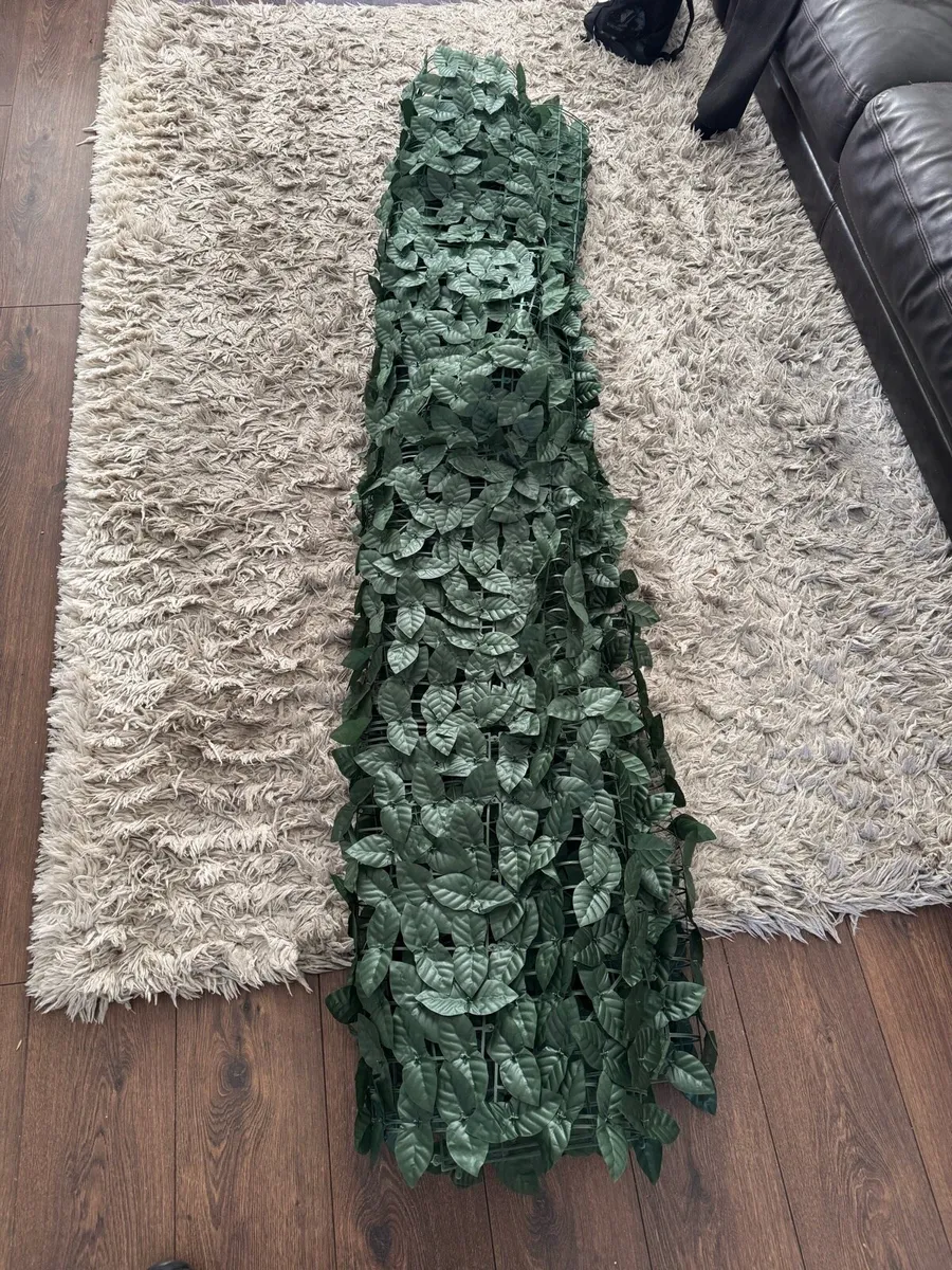 Garden trellis - Image 2