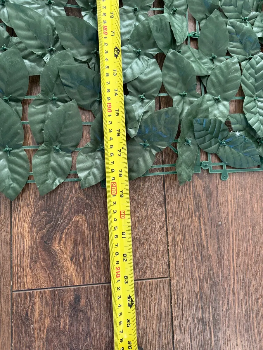 Garden trellis - Image 4