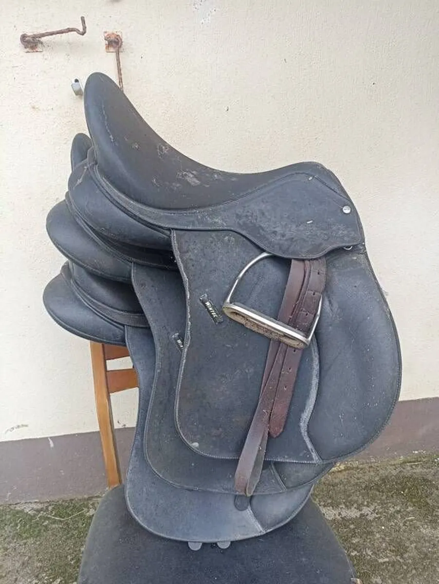 Wintec Saddles - Image 3