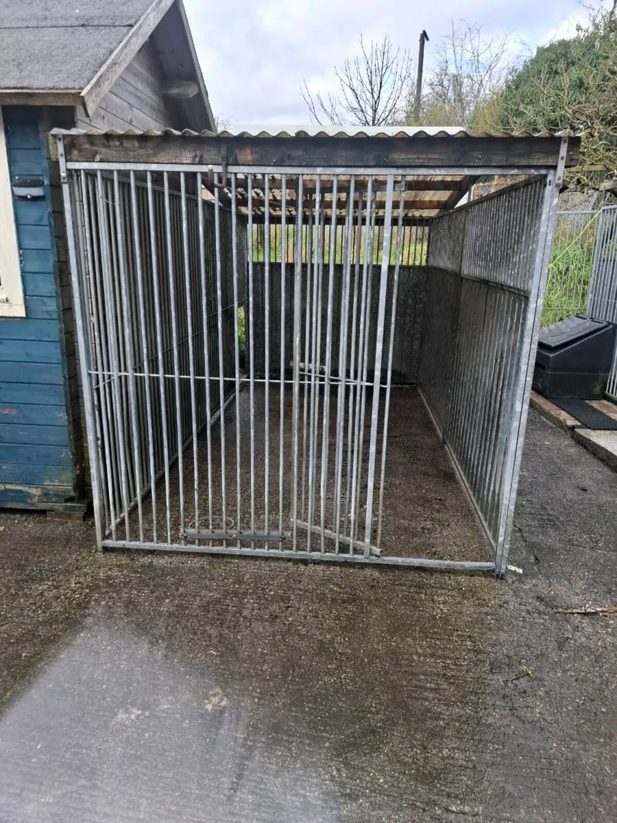 Dog run - Image 1