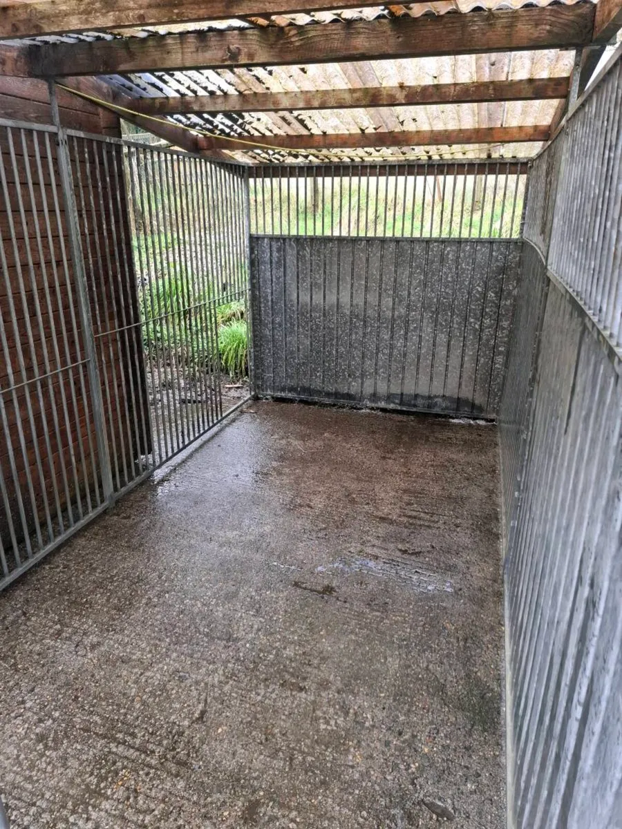Dog run - Image 3