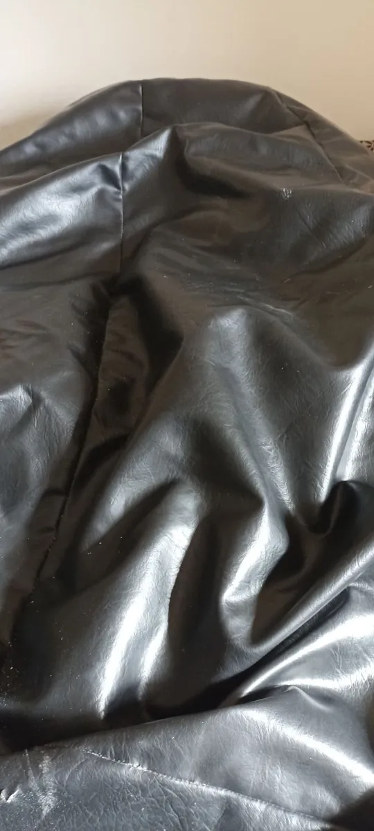 Large Beanbag - Image 1