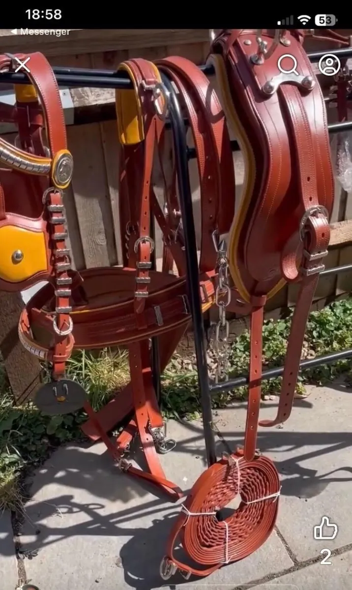 4 set of Harness - Image 1