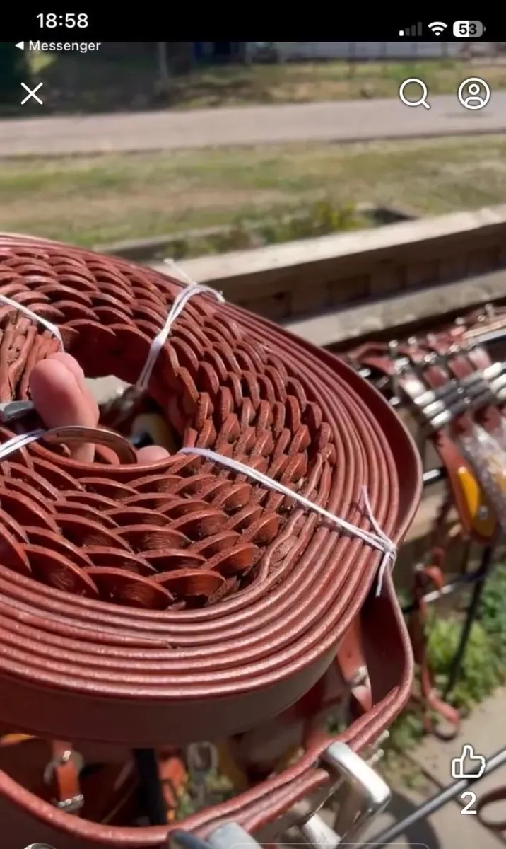 4 set of Harness - Image 4