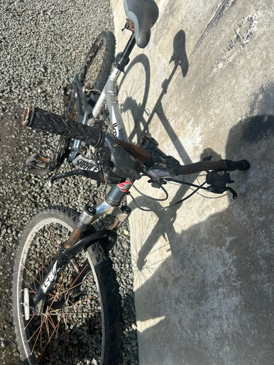 Adult bike - Image 4