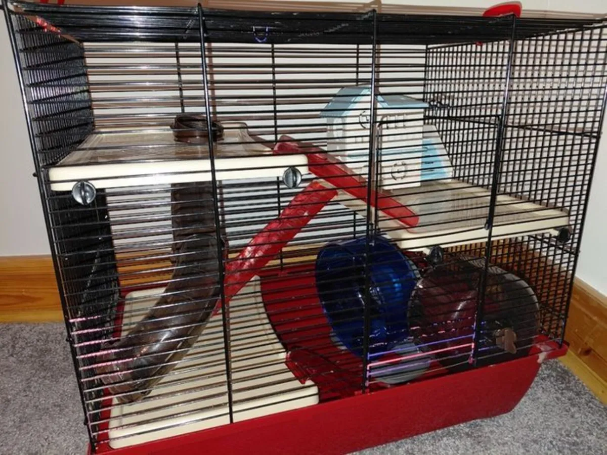 Hamster cage