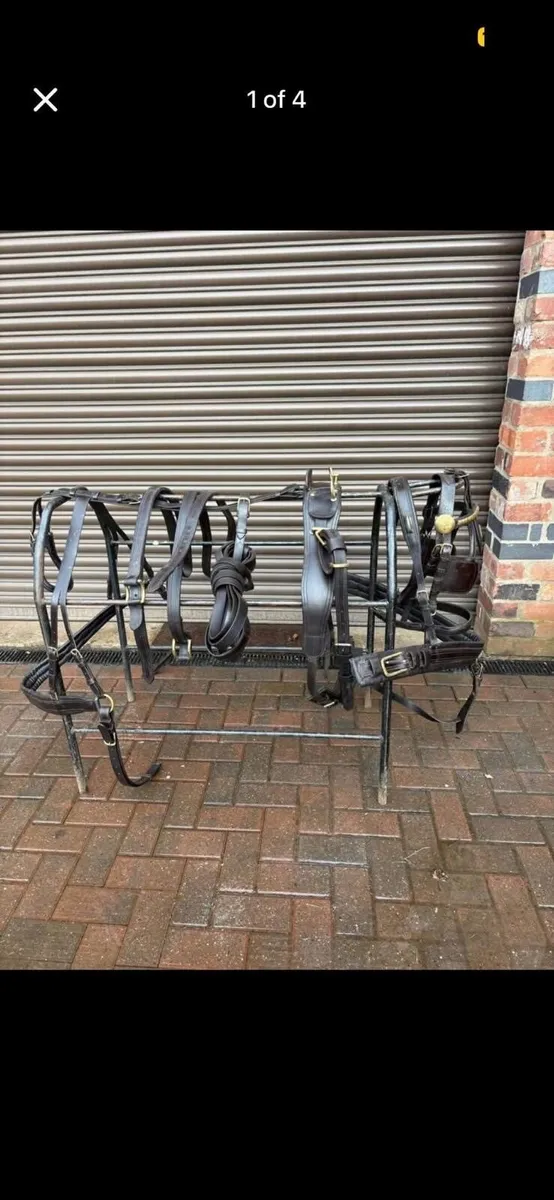 4 set of Harness - Image 1