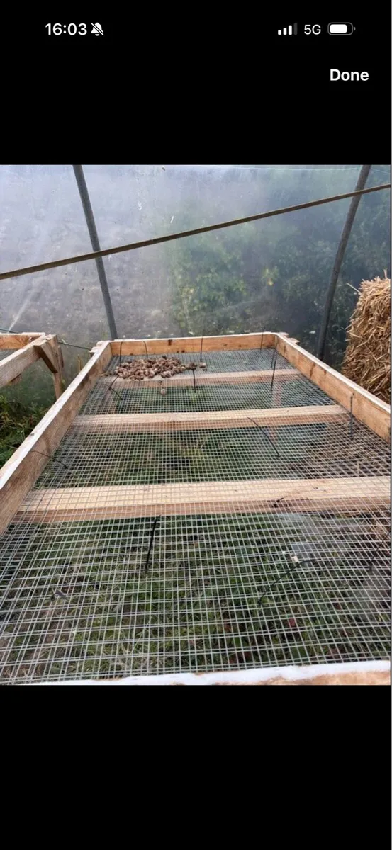 Snail Farm Equipment - Image 2