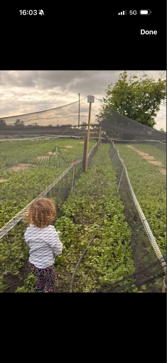 Snail Farm Equipment - Image 3