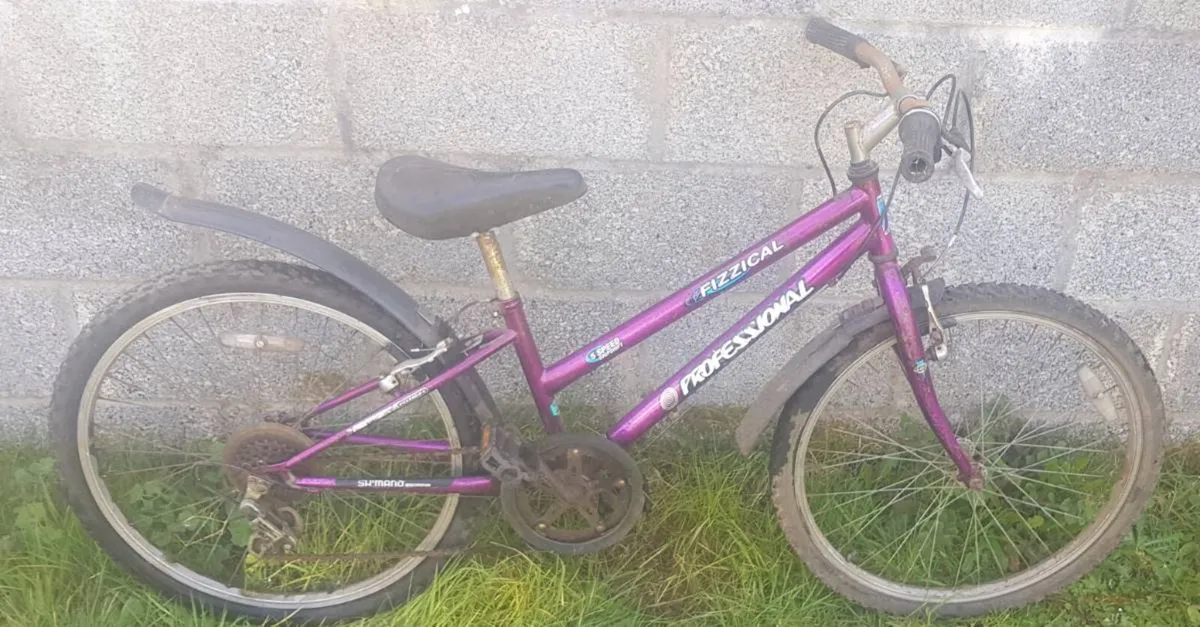 Girls bike - Image 2