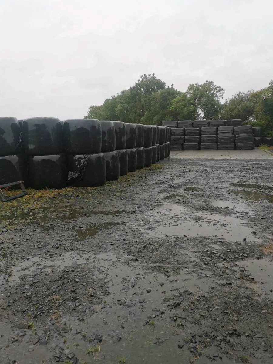 Silage for sale - Image 2