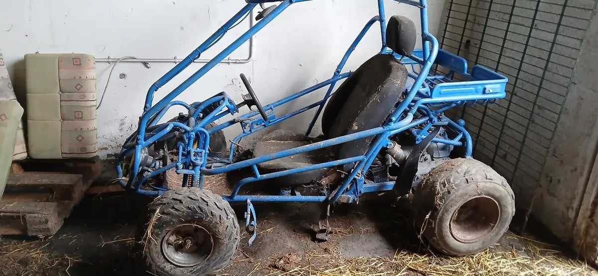 Moto-Roma 150cc Buggy - Image 3
