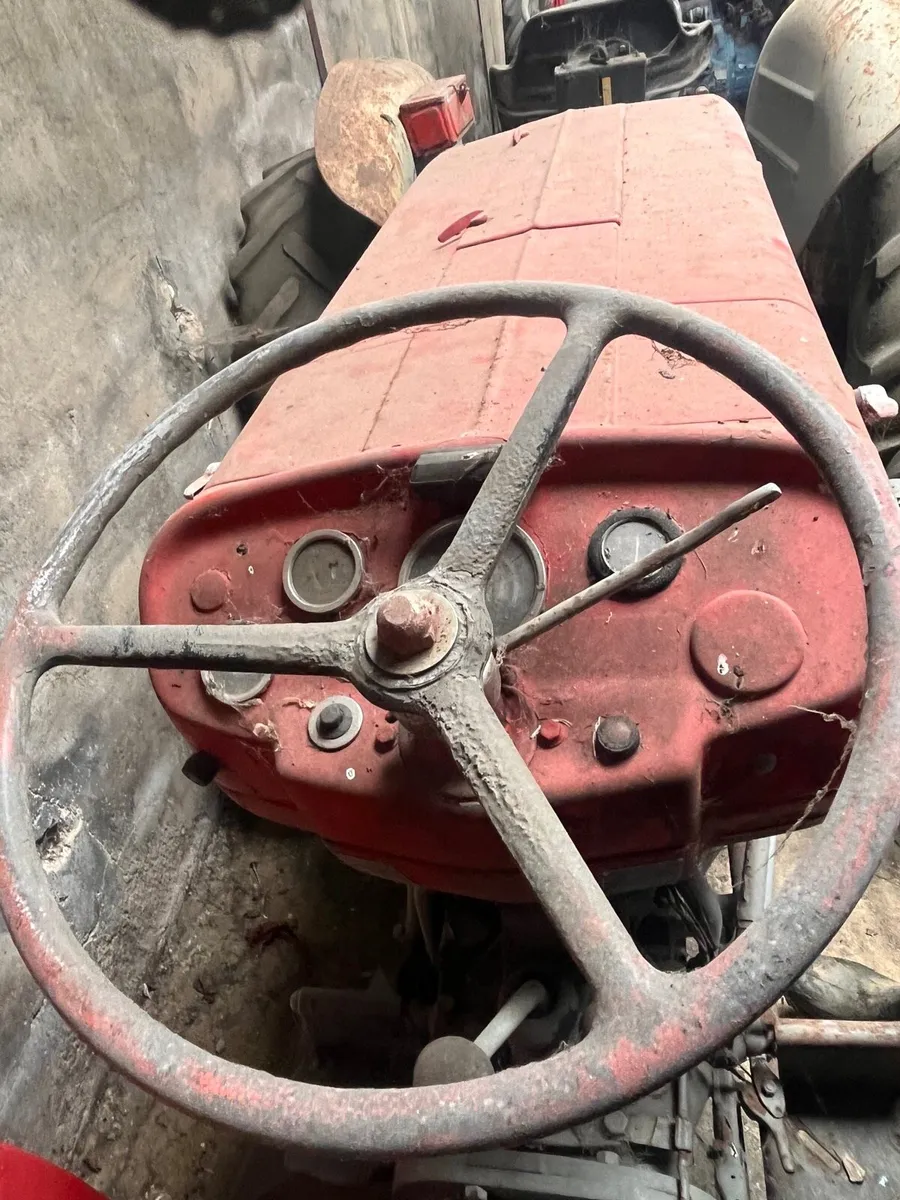 Petrol 135 Massey - Image 2