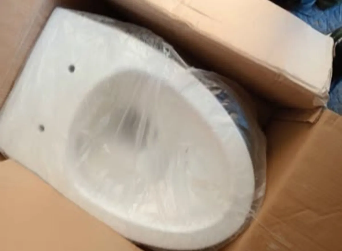 Wall mounted Toilet and seat - Image 2