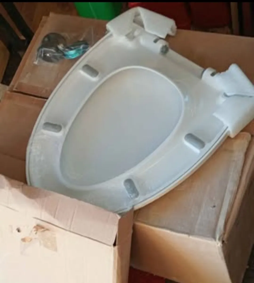 Wall mounted Toilet and seat - Image 4