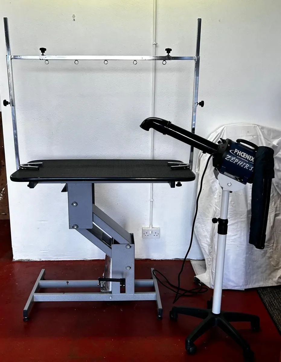 Dog Grooming Hydraulic Table &  Blaster Hair Dryer