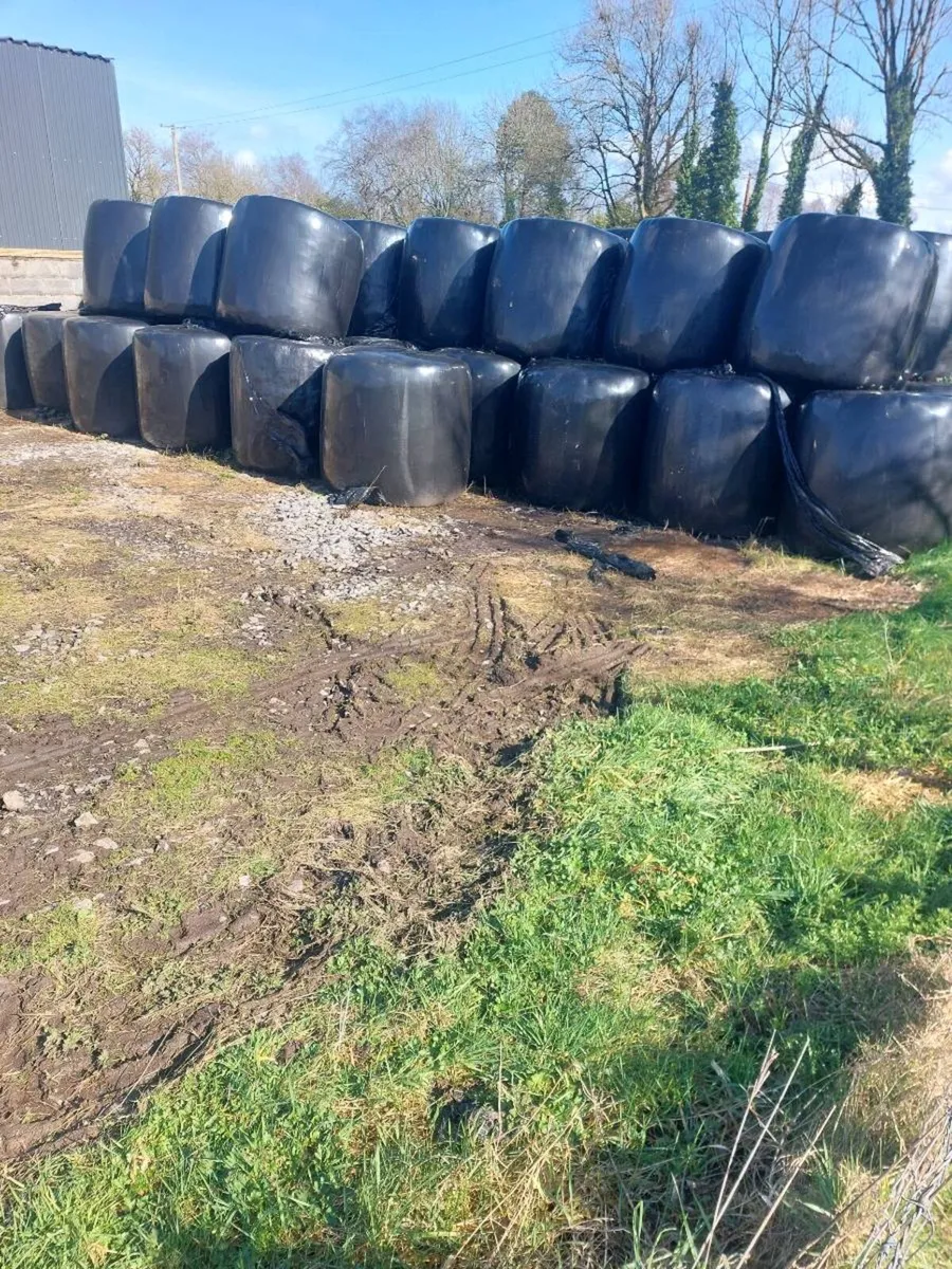 Silage