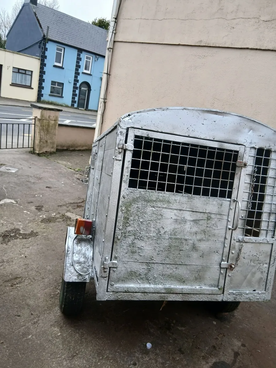 Big dog box price too sell  no time wasters - Image 4