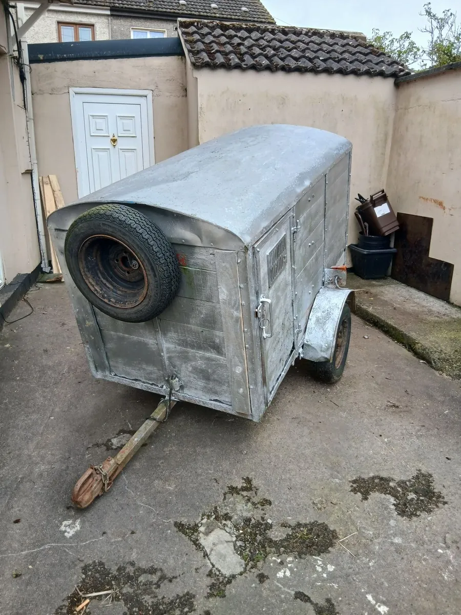 Big dog box price too sell  no time wasters - Image 1