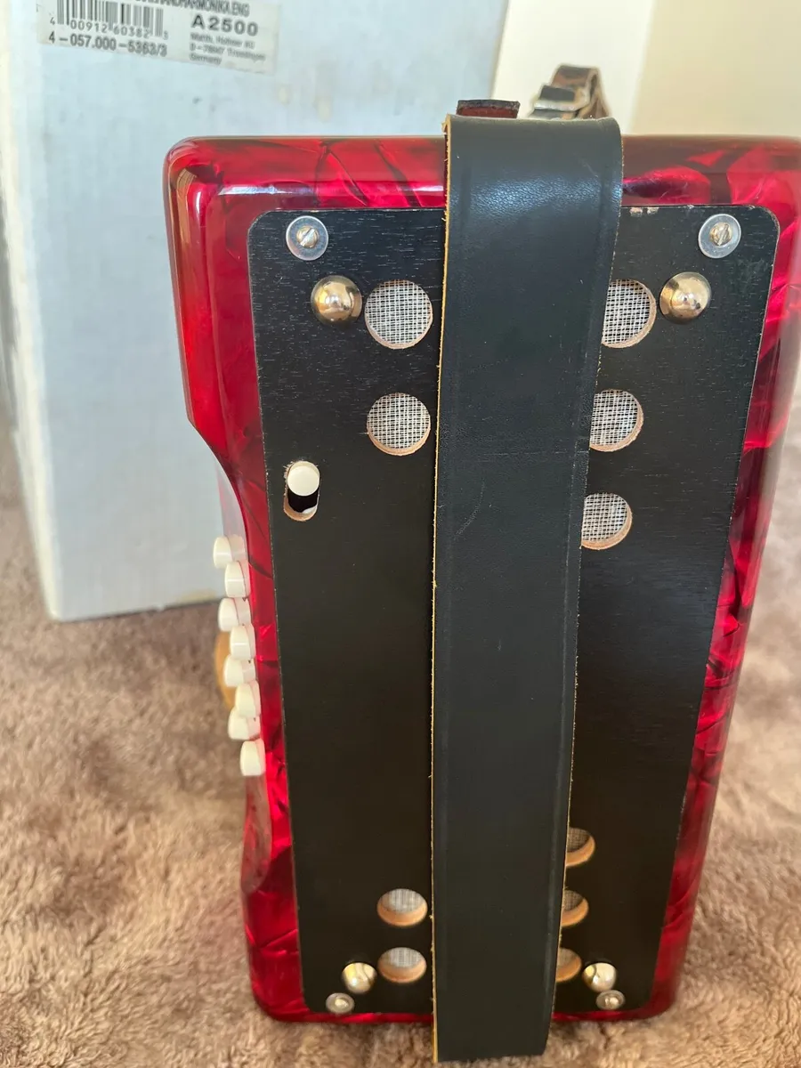 Horner Double-Ray Black Button Accordion - Image 4