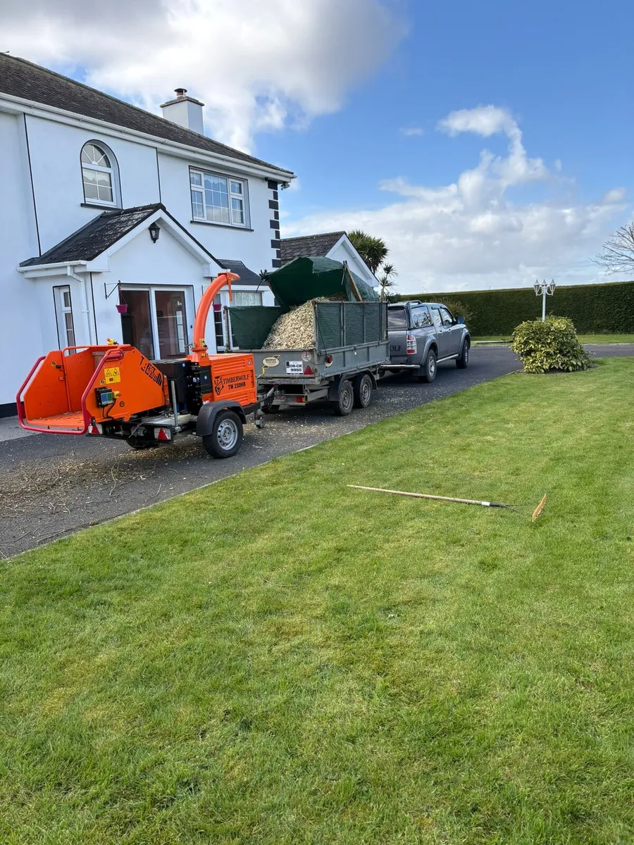 Tree Services - Image 1