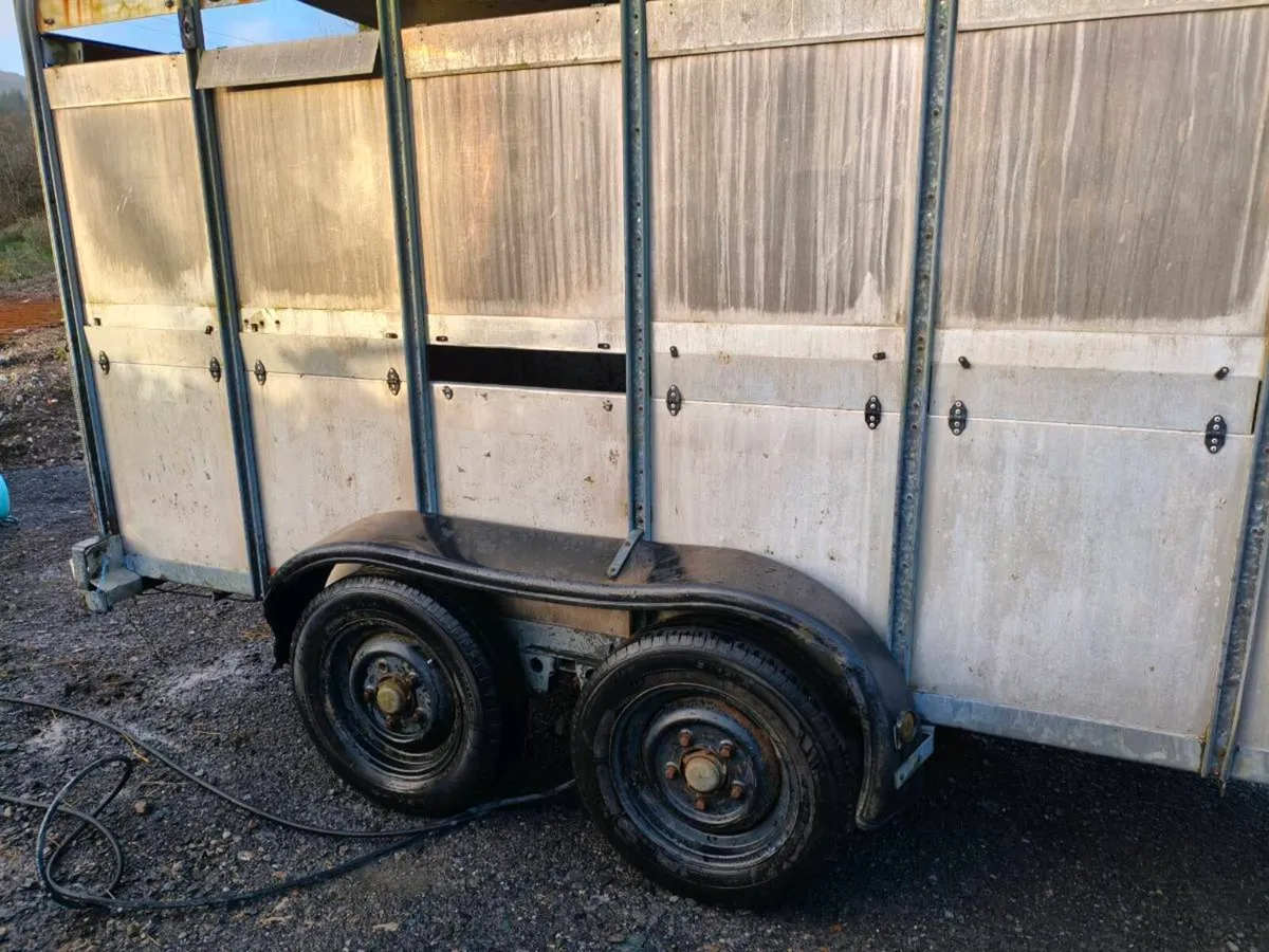 Ifor Williams 12x6 cattle trailer - Image 2