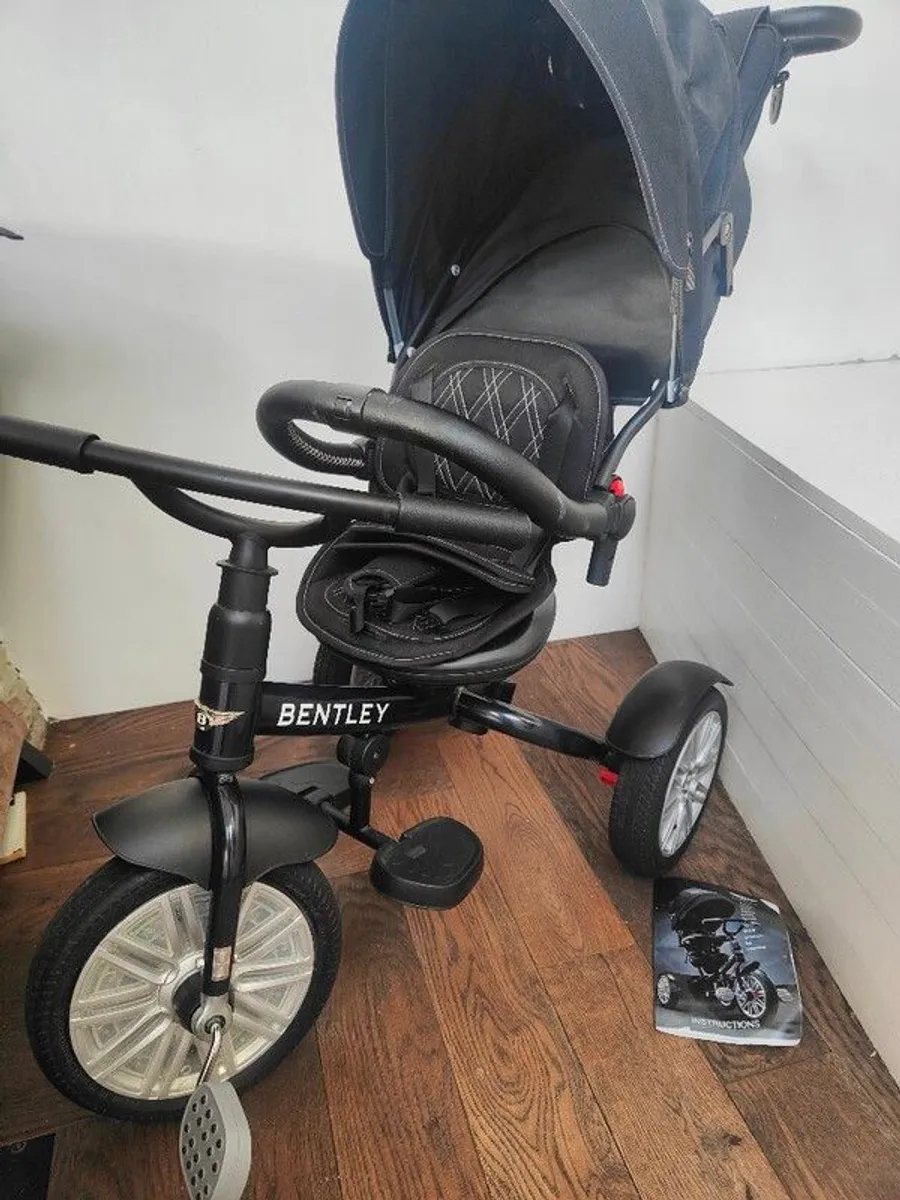 buggy , pram, pushchair, tricycle bycycle - Image 1