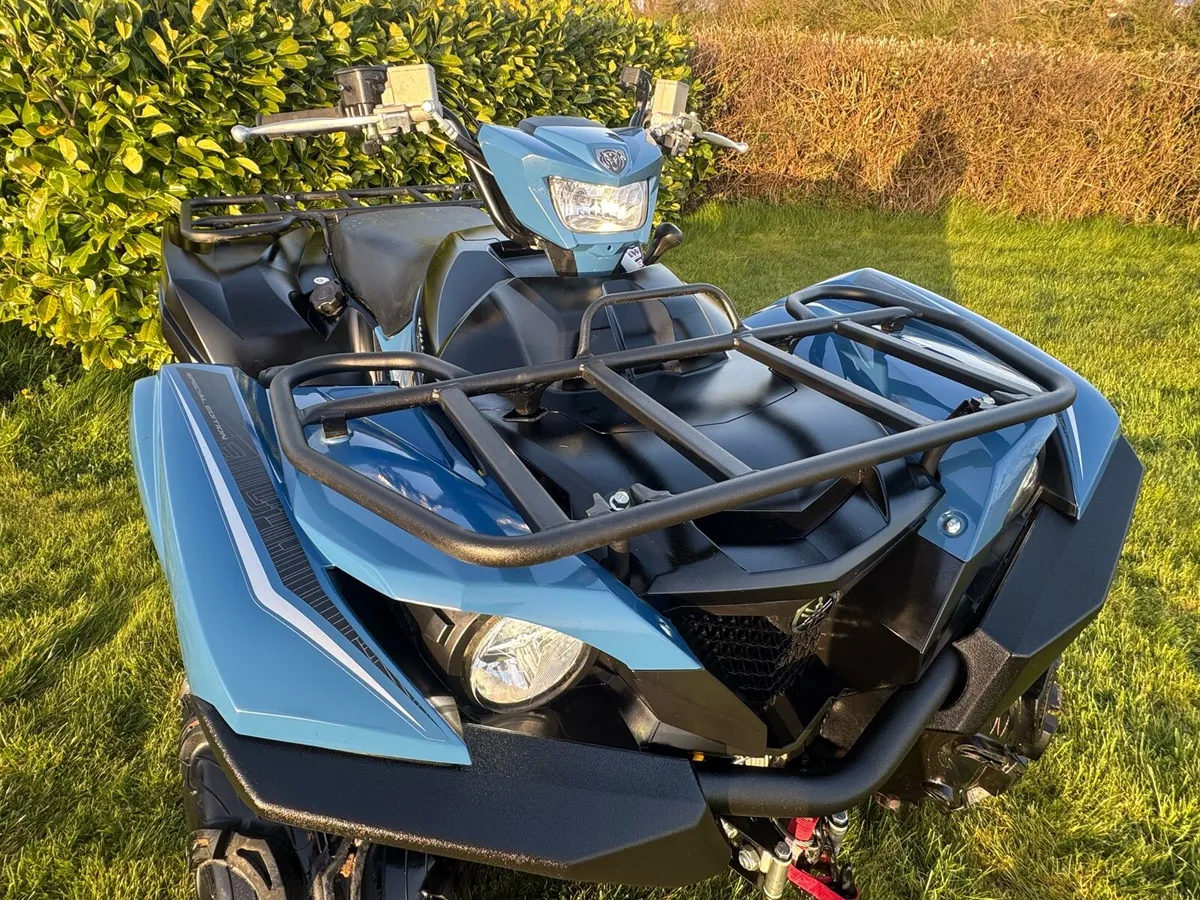 Yamaha Grizzly XTR limited edition - Image 4