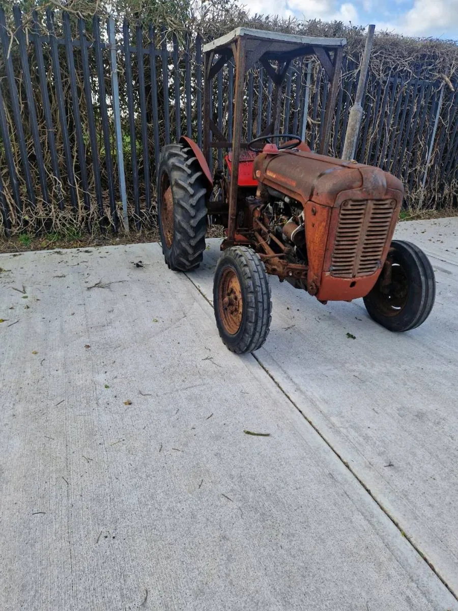 Massey ferguson 35 (Barn find) - Image 1